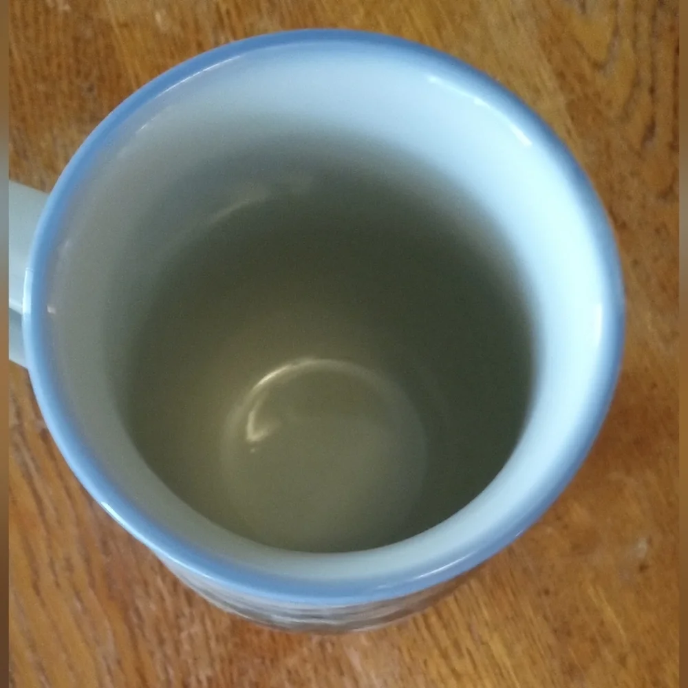 Rustic Buffalo Ceramic Mug